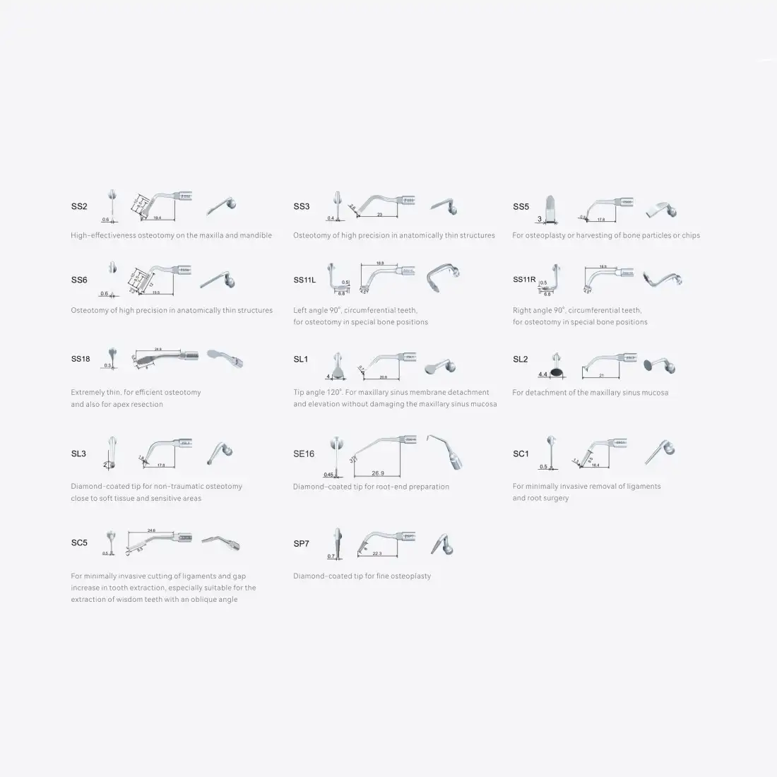 f8qxqct7qavebmjohfip